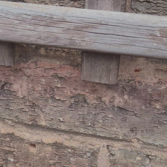 WHITE FLOWERS IN 12 IN HANGING BASKETS. CAN BE MADE IN ANY COLOUR