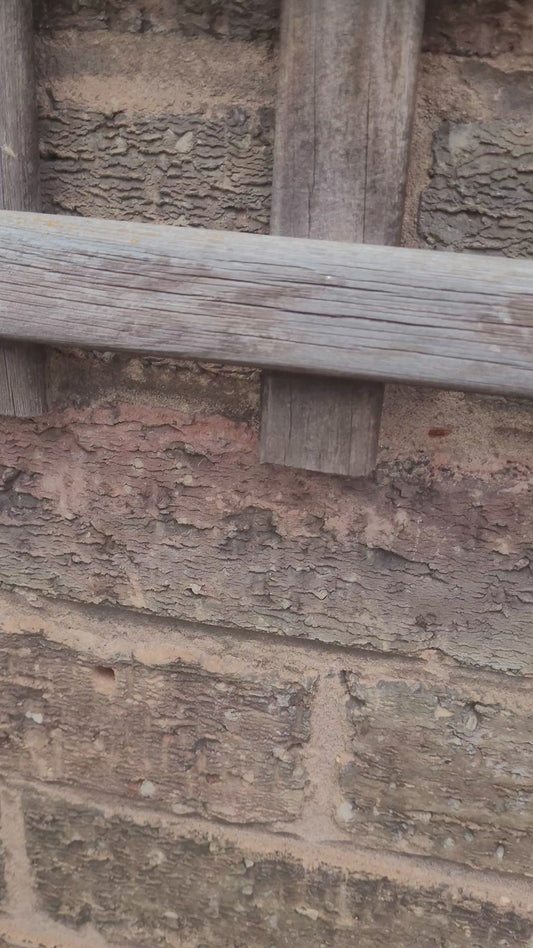 WHITE FLOWERS IN 12 IN HANGING BASKETS. CAN BE MADE IN ANY COLOUR